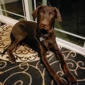 Meet your Posher, Odette